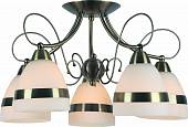 Люстра потолочная Arte Lamp арт. A6192PL-5AB